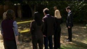 Capitulo 8