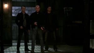Capitulo 7