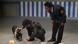 Capitulo 5