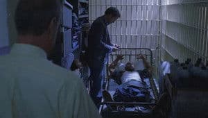 Capitulo 1