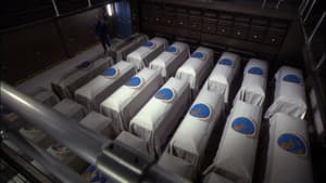 Capitulo 7