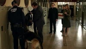 Capitulo 6