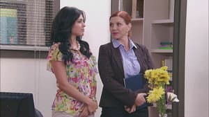 Capitulo 6