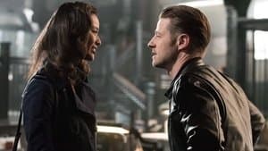 Capitulo 1